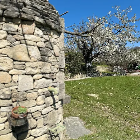 Le Cabanon *